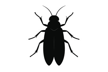 Detailed silhouette illustration of a click beetle insect on a clean white background