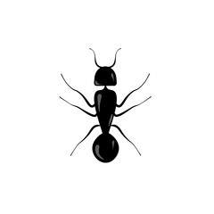 Black ant icon isolated on white background, Insecticide for pest control. Vector illustration
