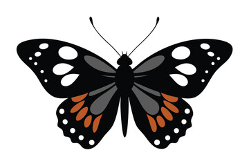 Silhouette illustration of a painted lady butterfly on a banner or advertisement