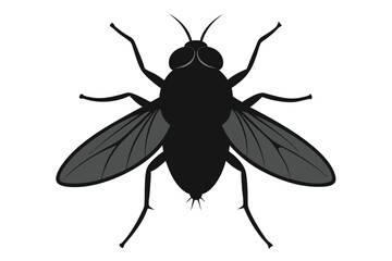 Detailed silhouette illustration of a common stable fly insect in flight on a white background