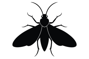 Detailed silhouette illustration of a webworm on a clean white background