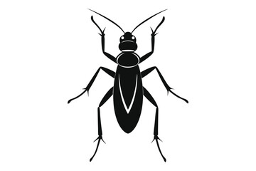 Detailed silhouette illustration of a tiger beetle on a clean white background