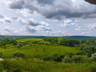 Fototapeta premium A large field of grass with a cloudy sky in the background. The sky is overcast and the grass is lush and green