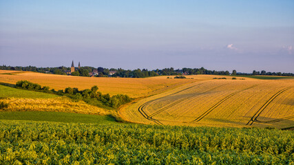 the two churches called Wiesnasen of Ratingen Homberg at summer evening sun with blue sky and corn fields