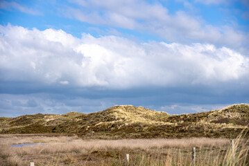 Expansive Coastal Marsh and Dunes: Dynamic Sky Over Untouched Landscape with Wild Grasses and Water