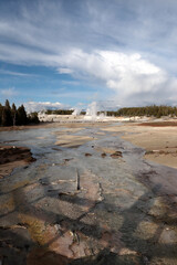 The Valley of geysers in Yellowstone. In the background, erupting geysers with steam coming out of them are visible. The forest is visible behind