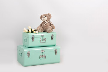 Osito de peluche en maletas verdes.