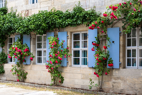 Rote Rosen vor Sprossenfenster mit blauen Fensterl&auml;den an einer traditionellen Sandsteinfassade in Oberfranken, Bayern, Deutschland.