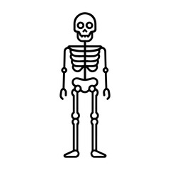 line icon Skeleton full vector on white background
Vector line icon on white background