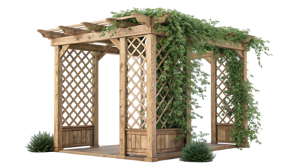 Wooden garden pergola with climbing green vines isolated on transparent background