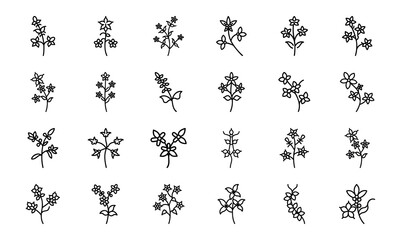 Bundle Petrea Volubilis Creeper Flower Icon Silhouettes 