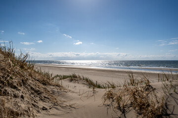 Idyllic Sun-Drenched Beach Landscape with Shimmering Ocean: Serene Coastal Vista and Sandy Dunes