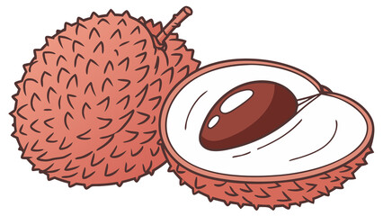 Watercolor illustration of lychee showing spiky red skin and white translucent flesh, split open with seed visible, blank background.

