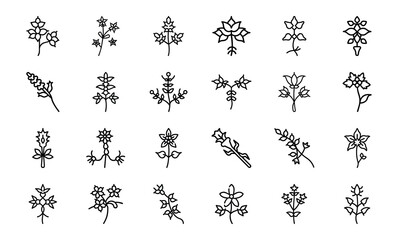 Bundle Quisqualis Indica Creeper Flower Icon Silhouettes 