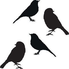set of birds