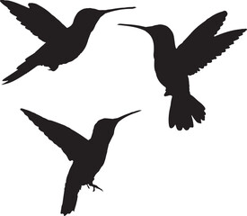 set of birds