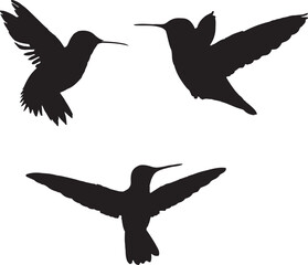 set of birds