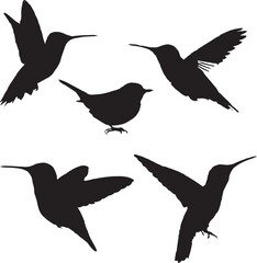 set of birds