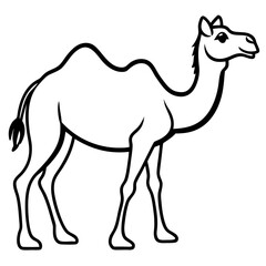 Fototapeta premium camel vector illustration isolated on transparent background
