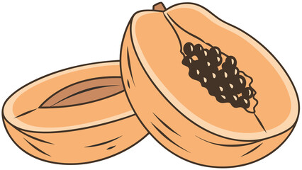 Semi-realistic illustration of apricot cut in half with smooth orange skin and brown seed detail, white backdrop.

