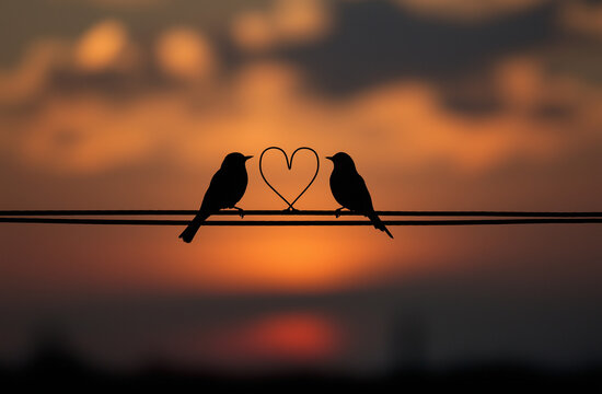 Two birds sitting on a wire with heart-shaped beaks and a sunset in the background, a concept of love, bird, sky.
