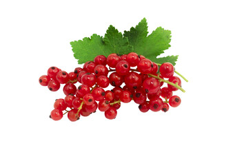 Red currant berry isolated on white background. Top view. Flat lay pattern