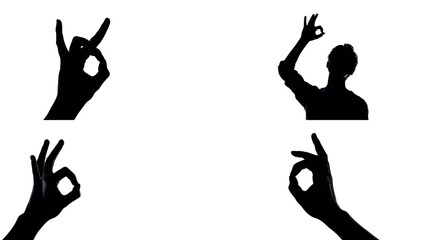Silhouette hand gesture ok sign agreement approval fine expression perfect symbol success body language