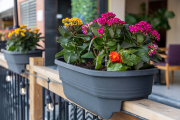 Restaurant patio fence with flower pots in summer. Outdoor cafe terrace with fresh flowers