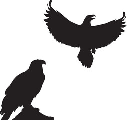 eagle vector illustration