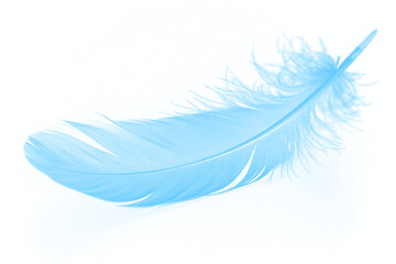 A beautiful, soft light blue feather isolated on a clean white background. The single, delicate...
