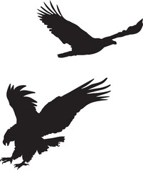 eagle silhouette vector