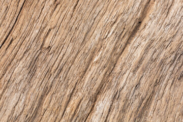 Wooden texture background