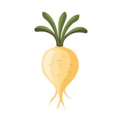 My Simple flat 2D icon of  maca root isolated on a white background, vector design, ideal for animation, vector, web design, digital illustrations, and minimalist