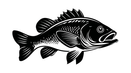 Fototapeta premium Tilapia fish vector illustration design, illustration isolated on a white background.