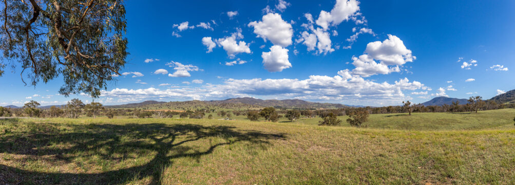 A vast rural landscape unfolds with gentle rolling hills beneath a vibrant blue sky dotted with fluffy white clouds. The lush greenery suggests a serene afternoon in the Australian countryside. - Powered by Adobe