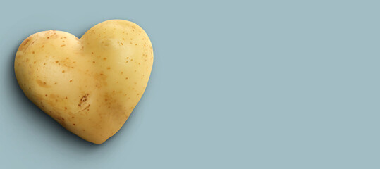 Heart shaped potato on grey blue background, top view. Banner design with space for text