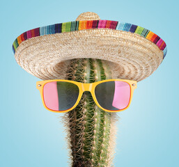 Cactus with sunglasses and sombrero hat against light blue background