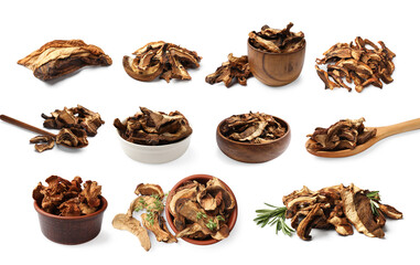Dried aromatic mushrooms isolated on white, set