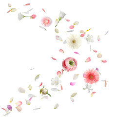 Flower petals and buds flying against white background