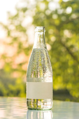 Close-Up of Frosted Glass Bottle with Sparkling Water and Bubbles on Light Surface with Greenery Background