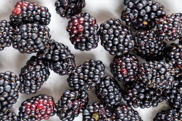 close-up of fresh blackberries, top view
