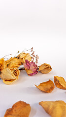 Composición vertical de rosas secar amarillentas