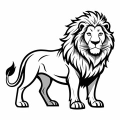 lion vector illustration