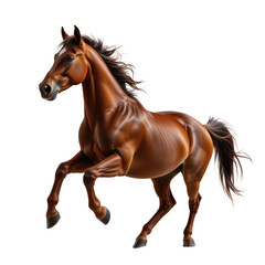 Obraz premium Majestic Chestnut Horse in Dynamic Pose with Flowing Mane and Tail