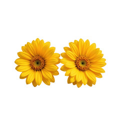 Obraz premium Bright Yellow Sunflowers with Vibrant Petals and Center Disks