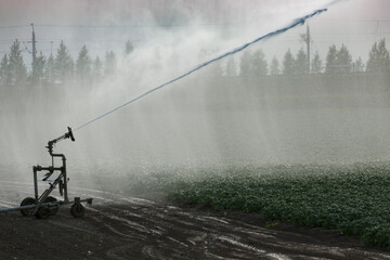 Farmers use irrigation systems to wet dry fields during a hot summer day