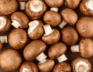 Brown mushrooms close-up