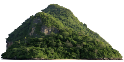 Lush green tropical mountain peak isolated on transparent background
