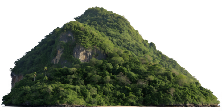 Lush green tropical mountain peak isolated on transparent background