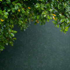 Rainy Day Green Leaves Illustration